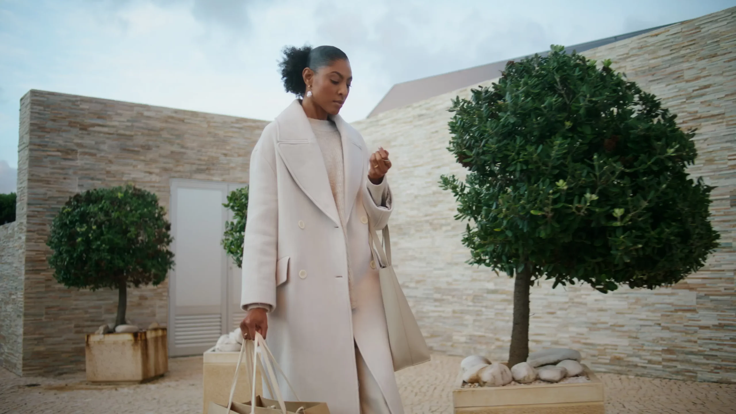 african-american-carrying-shopping-bags-gorgeous-2026-01-05-23-34-48-utc